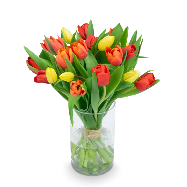 Kytice tulipánů
